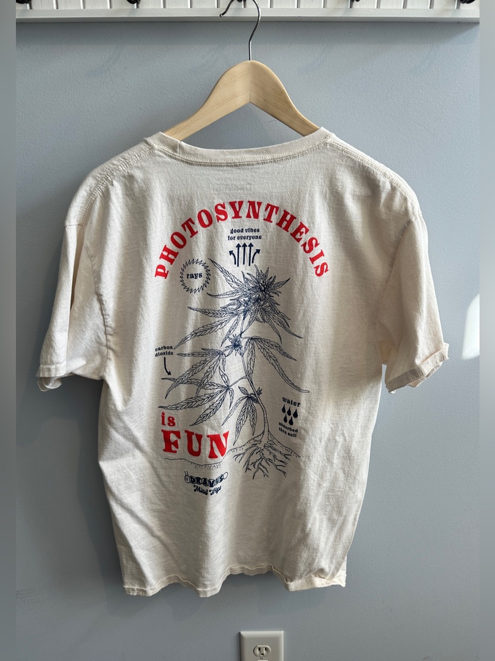 Dravus Photosynthesis Is Fun Graphic Short Sleeve Tee - Cream